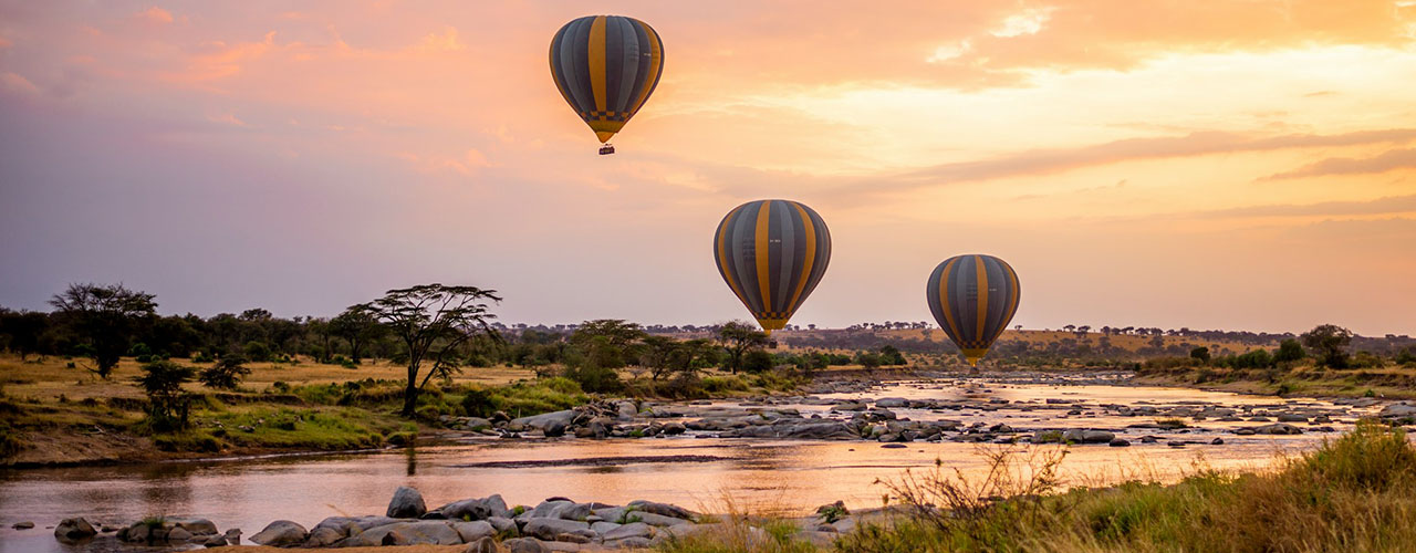 NICOBETS Travel & Tourism