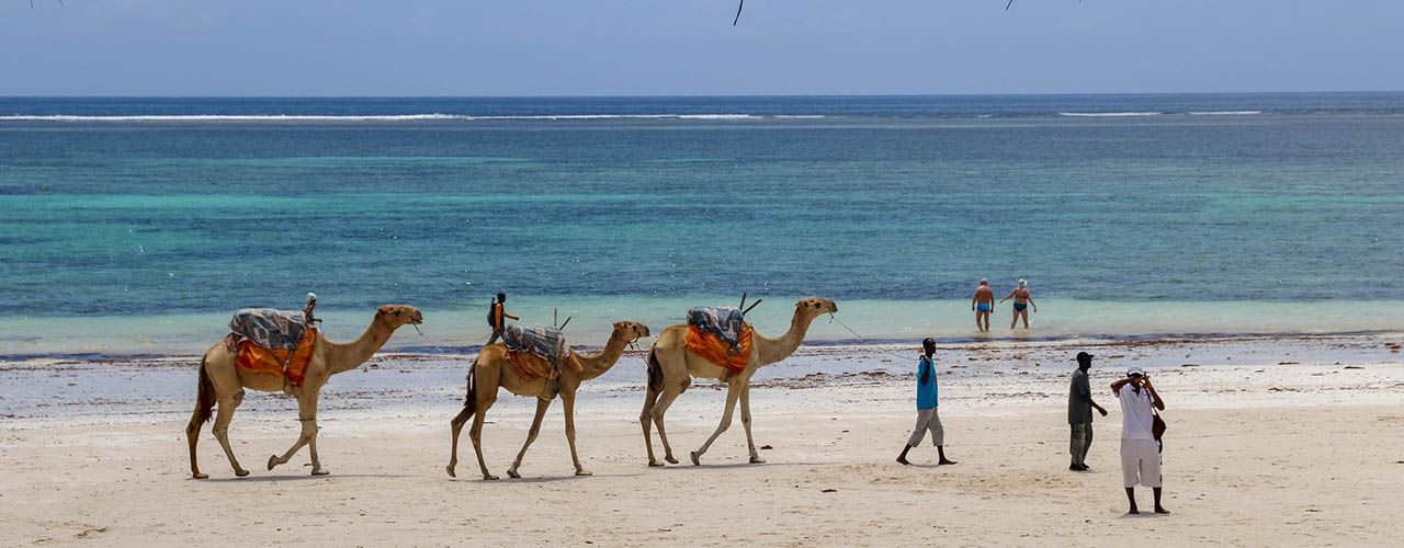 NICOBETS Travel & Tourism