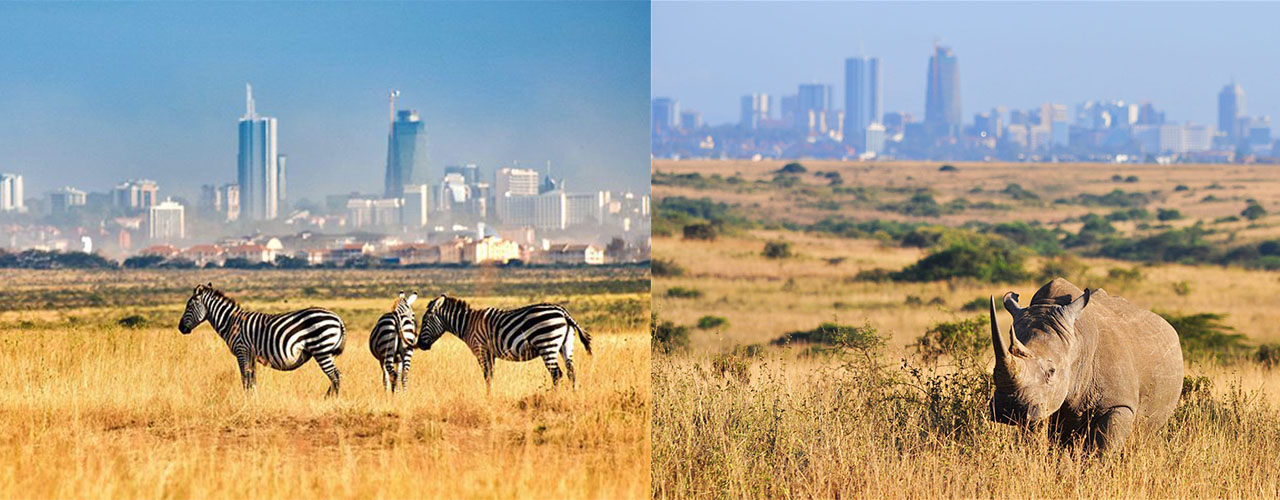 NICOBETS Travel & Tourism